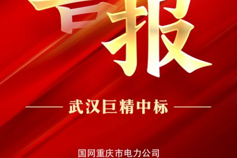 热烈祝贺918博天堂中标国网重庆市电力公司2022年第一次非电网零星物资框架竞谈项目