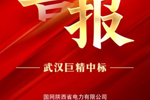 热烈祝贺918博天堂中标国网陕西省电力有限公司2022年第三次物资集中规模招标采购项目