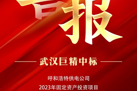 热烈祝贺918博天堂中标呼和浩特供电公司2023年牢靠资产投资项目物资采购生产二批（零购）4